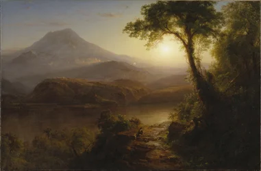 熱帯の風景